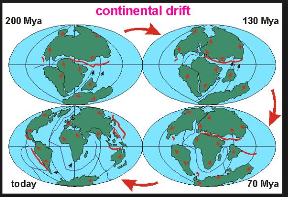 Section 4: Plate Tectonics The theory of plate tectonics explains the formation and movement of Earth s plates.