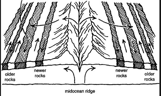 Formation of Oceanic Crust Sea-floor spreading is the process by which new oceanic crust is created at mid-ocean ridges as older crust