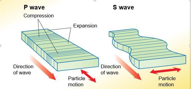 S waves are transverse waves, like light and other electromagnetic radiation. S waves cause particles to vibrate at right angles to the direction the waves move.