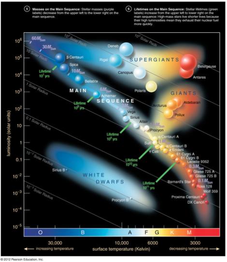 Name: Section: Date: Lab 8: Stellar Classification and the H-R Diagram 1 Introduction Stellar Classification As early as the beginning of the 19th century, scientists have studied absorption spectra