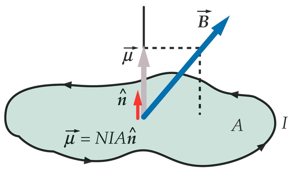 Rectangular Current Loop in a ield Torque on a Magnetic Dipole lat current loop of arbitrary shape area of loop ˆn wants to align with : τ = absinθ = Asinθ wherea=ab and the formula does OT depend on
