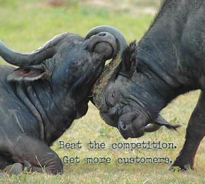 COMPETITION Individuals compete