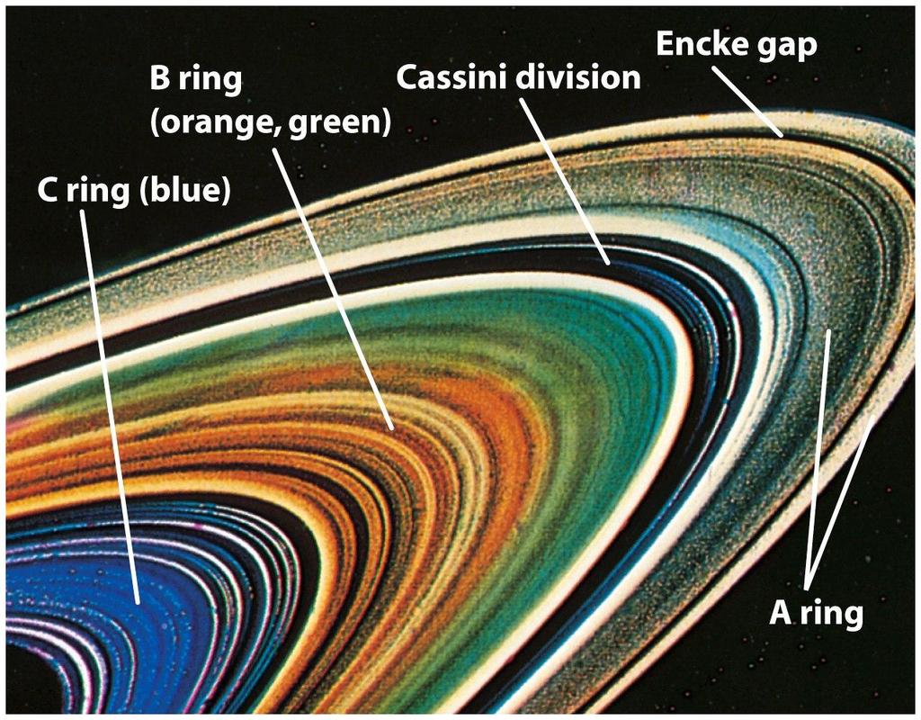 Saturn and its main rings (False colors) The Cassini division is caused by a resonance with the orbital period of Mimas, one of Saturn s satellites The