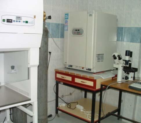 Cell Culture Laboratory In vitro studies of