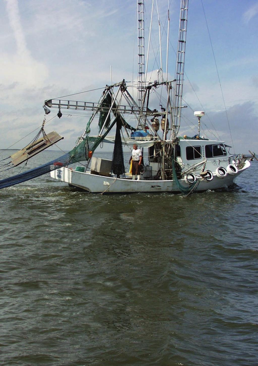 Shrimp trawl fisheries Marine fish stocks are under increasing threat from a range of spatially based problems that might be natural or involve socio-economic factors.