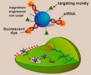 Potential applications of magnetic nanoparticles 1- Medical diagnostics and treatments Magnetic nanoparticles are used in an experimental cancer treatment called magnetic hyperthermia in which the