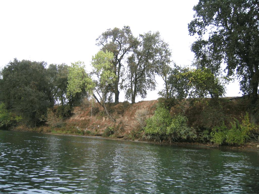 SAC05 D5P6 FEATHER RIVER RM 17.