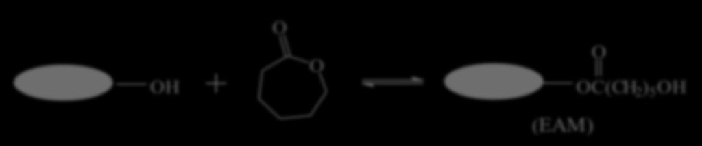 Enzyma1c ring opening polymeriza1on Enzyma1c polymeriza1on of ε-