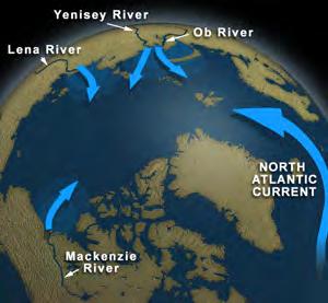 Arctic inflow Arctic outflow The North Atlantic Current provides about 60% of the inflow to the Arctic Ocean bringing