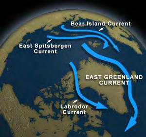 Some water also moves into the Arctic Ocean from the Bering Sea and the Pacific Ocean, by way of the Bering Strait.