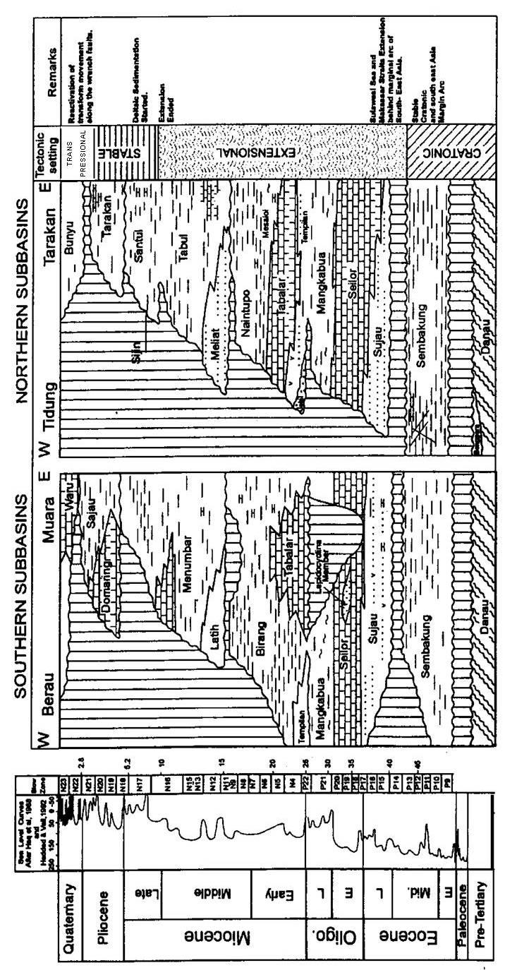 Figure 2 - Stratigraphy and tectonic setting of the Tarakan