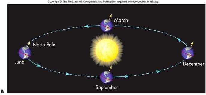 The Seasons The rotation axis of the Earth maintains nearly the same tilt and direction from year to year The northern and