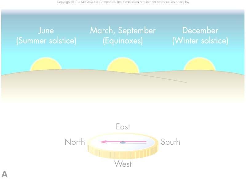 Solstices and Equinoxes Points on horizon where Sun rises and sets changes periodically throughout year In summer months of Northern hemisphere, the Sun rises north of east and sets north of west In