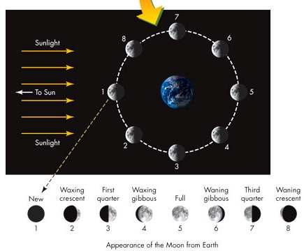 The Phases of the Moon During a period of about 30 days, the Moon goes through a complete set of