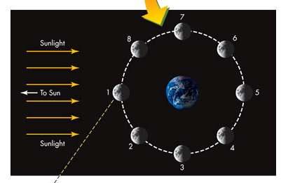 The Phases of the Moon The phase cycle is the origin of the month (derived from the word moon) as a