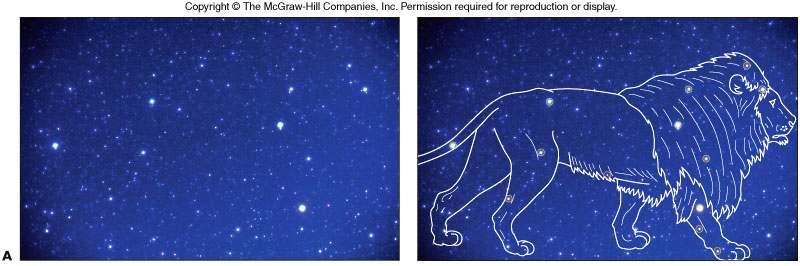 Constellations Constellationsare fixed arrangements of stars that resemble animals,
