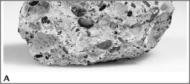 individual mineral grains or rock fragments Quartz