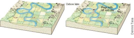 Figure 11 A One meander has overtaken the next, forming a ring of water on the floodplain. B After deposits of sediment cut off the ring, an oxbow lake forms.