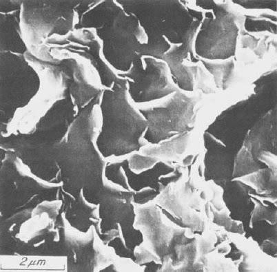 Photomicrograph of Montmorillonite
