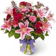 Pretty Flowers - have bright colours and sweet