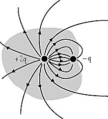 An electric dipole consists of a positive charge separated from a negative charge of the same magnitude by a small distance.