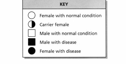 According to the pedigree, this disease is caused by a. several genes b. several alleles c. a sex-linked gene d. two codominant alleles 8.