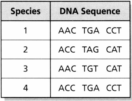 What is the genotype of the female in generation 3? a. X N X n b. X n Y c. X N X N d. X N Y 10. A scientist studied a specific strand of DNA from four species of sparrows.