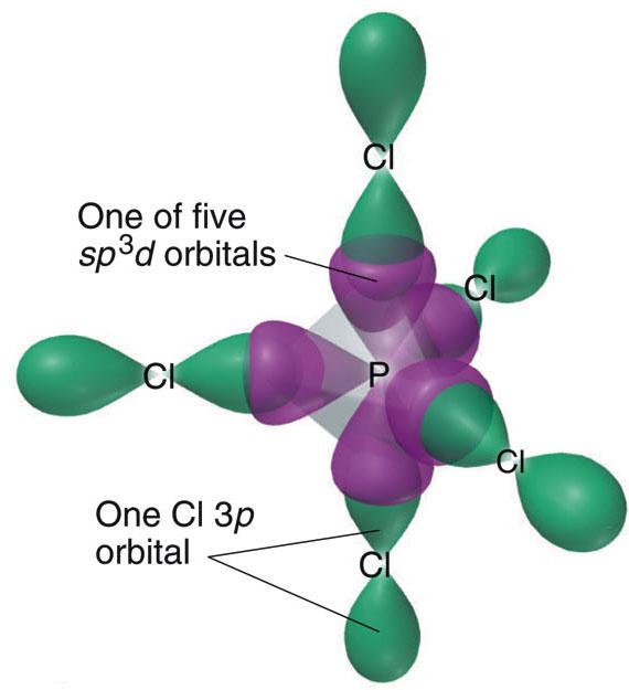 The sp 3 d hybrid orbitals in PCl 5 Hybrid orbital