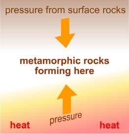 Formation of metamorphic rocks Which type of metamorphic rock?