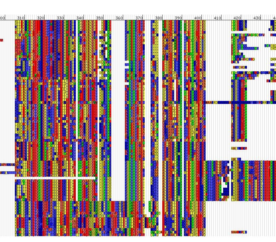 Inferring a tree from nucleotides/peptides Molecular phylogenetic methods Sequence data: -Nucleotide alignments -Peptide alignments Evolutionary history represented as a