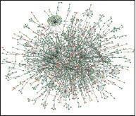Protein network analysis RNA transcript 9 Cluster