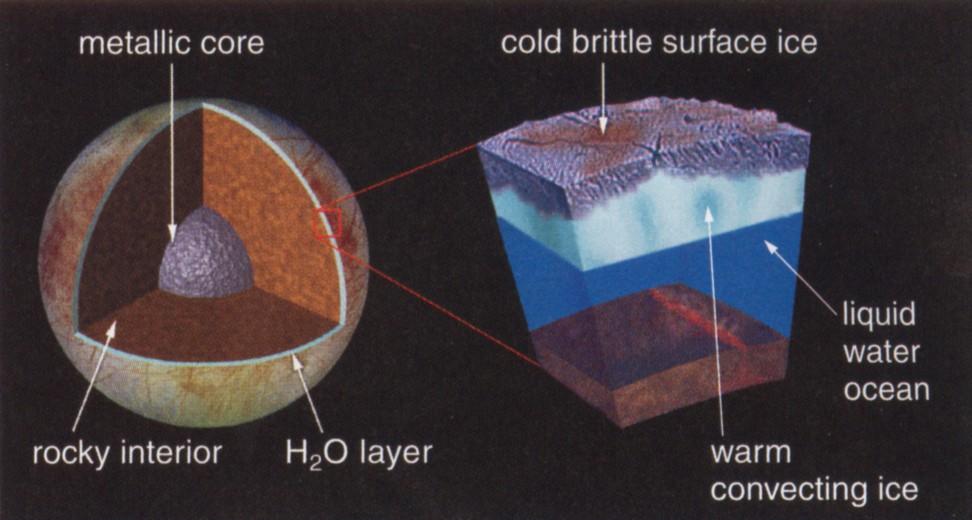 0 g/cm 3 Internal structure The water layers (ice plus ocean) are relatively thin compared to the radius of the satellite The internal structure is believed to feature a metallic core surrounded by a