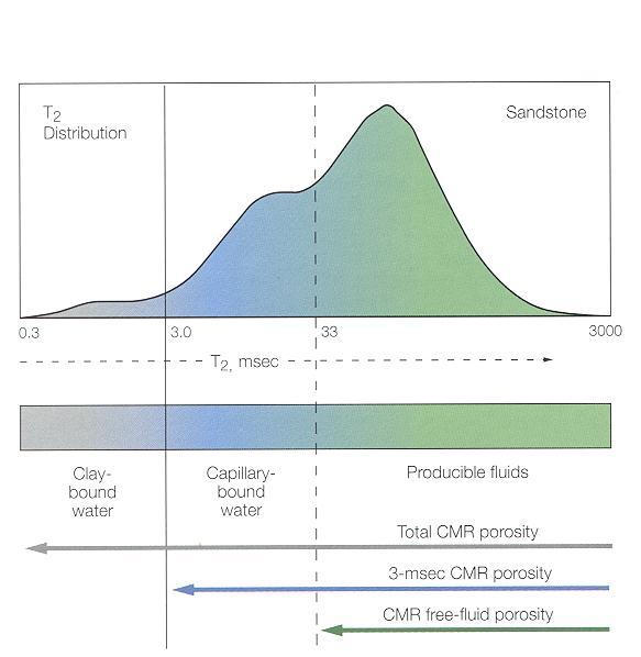 NMR T2 distributions provide for fluid discrimination.