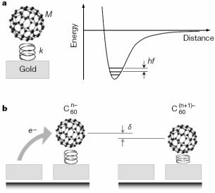 6.2Å K 70N/m f 1.2THz hf 5meV δ 4pm Figure 4 Diagram of the centre-of-mass oscillation of C 60. a, A C 60 molecule is bound to the gold surface by the van der Waals and electrostatic interaction.