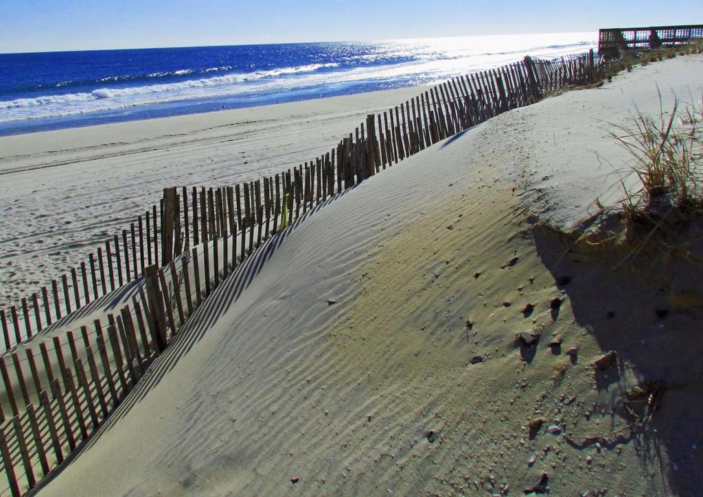 DEPOSITION SHOWN BY IMAGES: Sand dunes, new beach sand A sand fence, is used to force windblown, drifting sand to accumulate