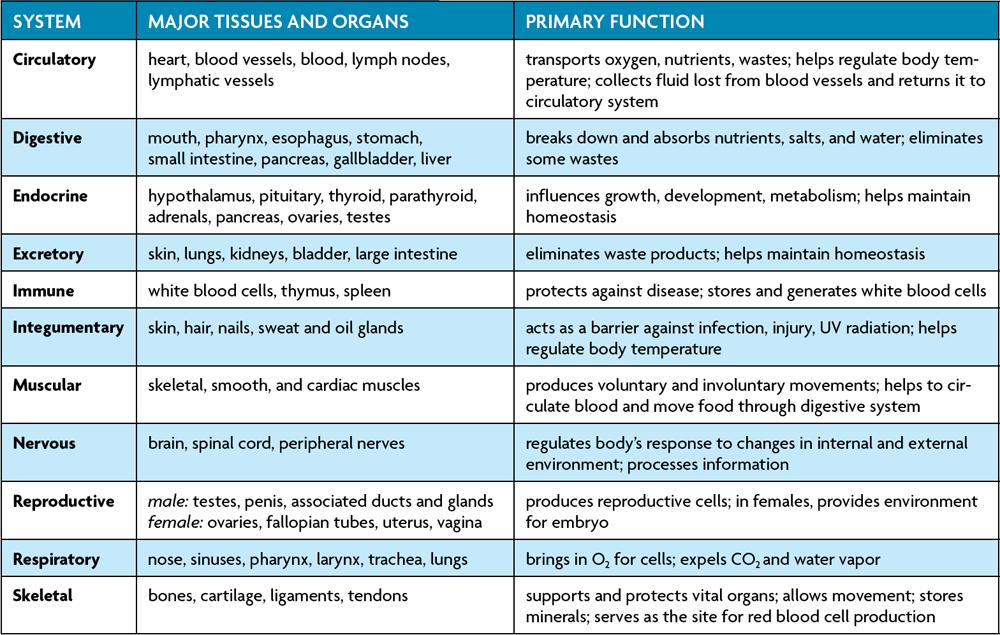 There are 11 major organ