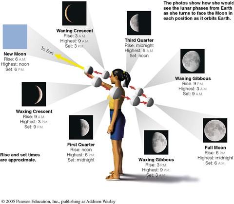 Phases of Moon Half of the Moon is illuminated by the Sun and half is dark.