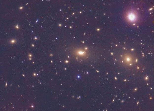 Rich Clusters of Galaxies About ½ of all galaxies are in rich clusters (others in groups ) Thousands of gravitationally bound galaxies within a few Mpcs Typically 50 to 100 galaxies with L