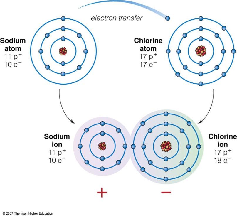 Atoms are joined to one another by forces known as bonding.