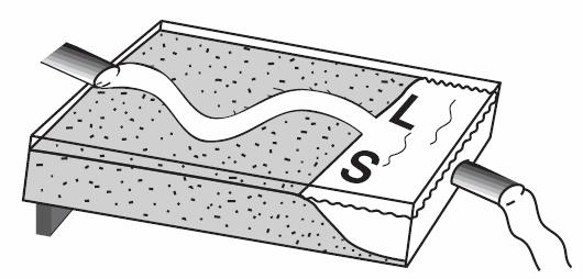 Which diagram best represents the arrangement of large, L, and small, S, sediment deposited as the stream enters the water basin? 33.