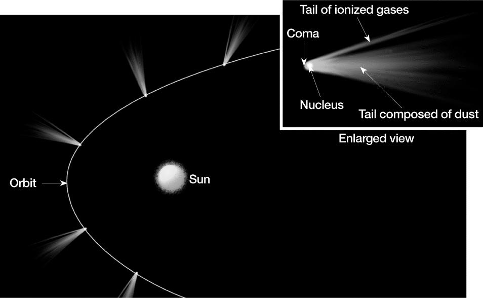 Comet s Tail Points Away from the Sun Kuiper Belt Like the asteroids in the inner solar system, most Kuiper belt comets move in nearly circular orbits that lie roughly in the same