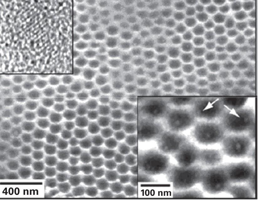 nano-size reaction vessel Array of