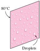 Condensation: Physical Mechanisms Film condensation The condensate wets the surface and forms a liquid film.