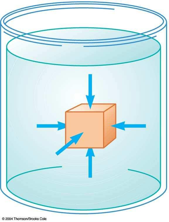 In a static fluid ( fluid at rest) there are no preferred directions.