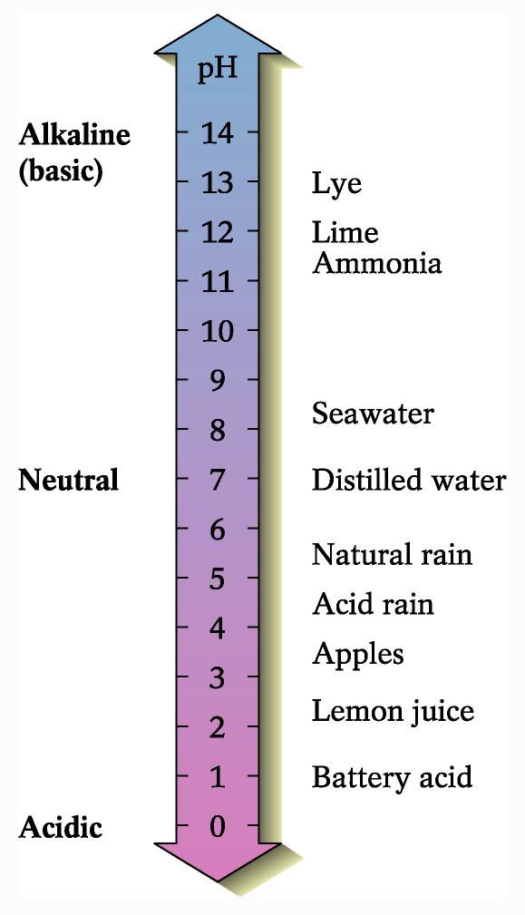 Acidity of Natural Waters Water is a good solvent. Acidic water is better!
