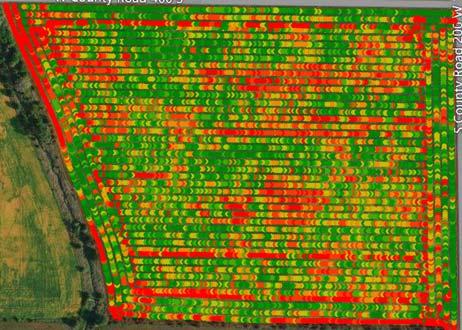 Raw yield data = Spatially dense Yield data every second or two Corn