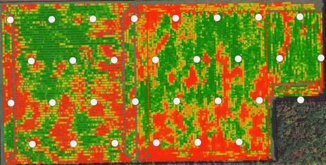 Agronomic Factors Supplement 2.5 ac grid samples with additional samples targeting low-yielding areas (red) Labor efficiency Operator fatigue?