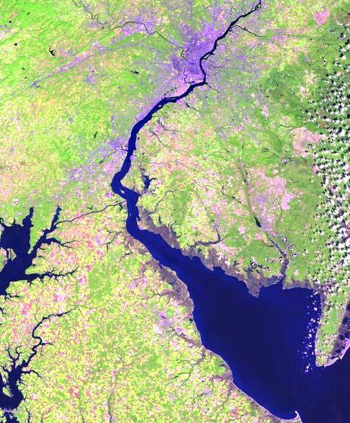 The Delaware Estuary