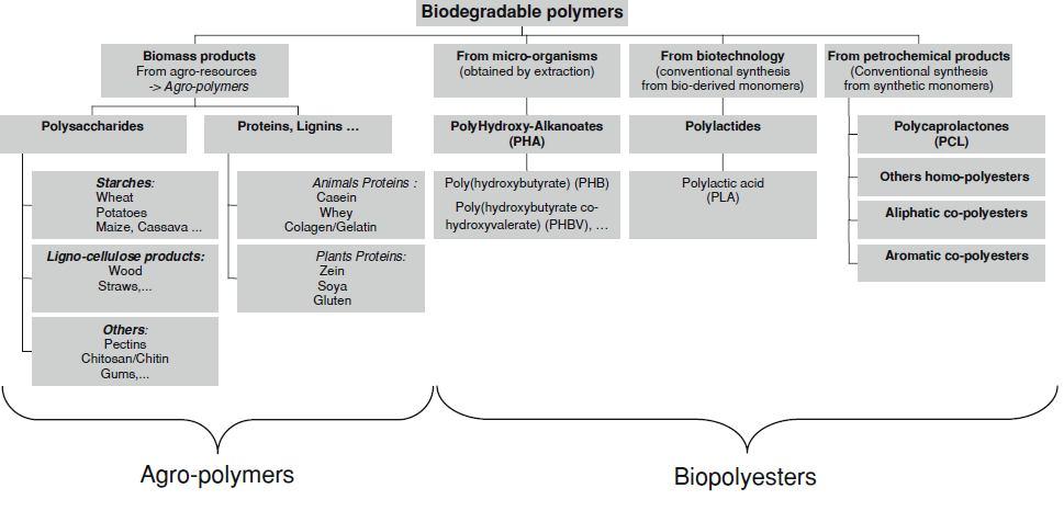 Biodegradable polymers L. Avérous and E. Pollet (eds.), Biodegradable polymers in Environmental Silicate Nano- Biocomposites, Green Energy and Technology, DI: 10.