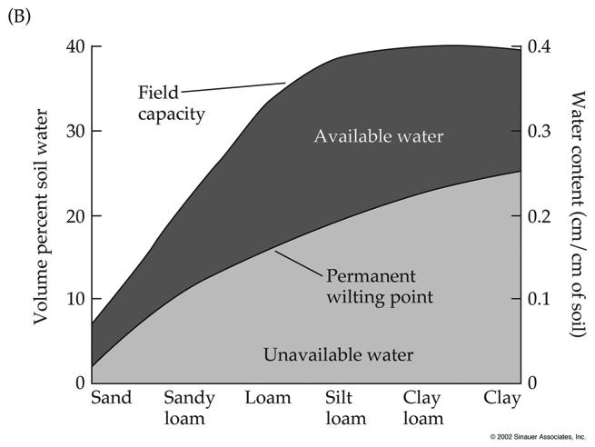 Available water varies greatly by soil type. Clay soils can hold more cations because of clay s negative charges and high surface area.